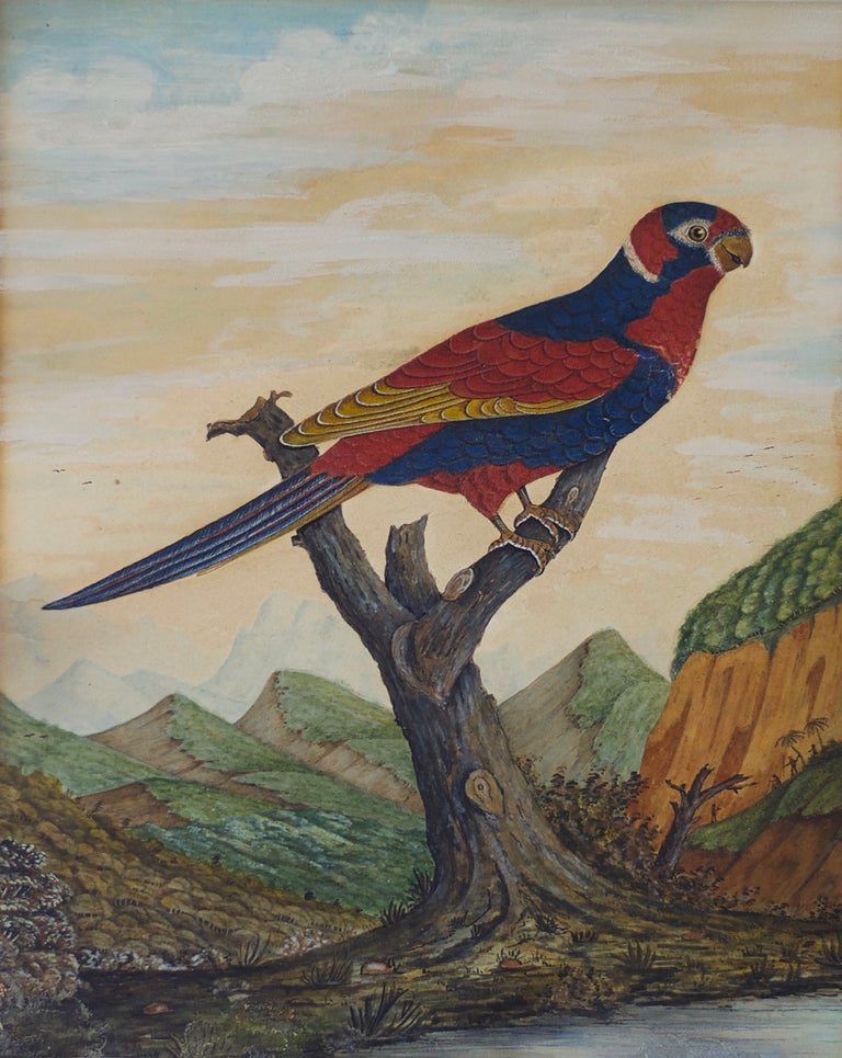 Item #5400 Parrot Perched in a Mountainous Landscape with Figures in the Distance circa 1800-1820. British School.