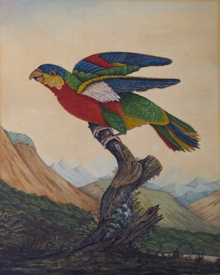 Item #5401 Parrot Perched in a Mountainous Landscape circa 1800-1820. British School