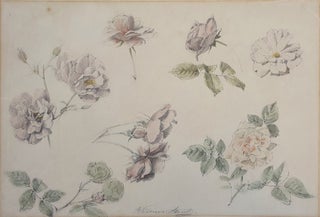 Item #5468 Study of Roses 1887. William Strutt
