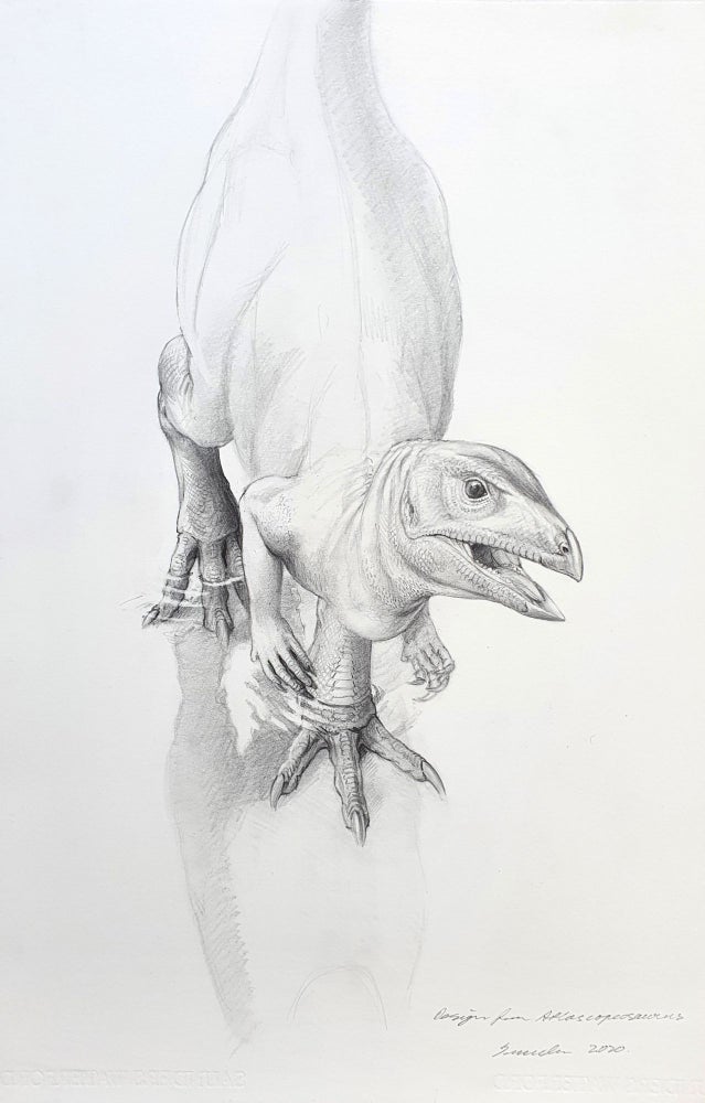 Item #5587 Design from Atlascopcosaurus 2020. Peter Trusler.