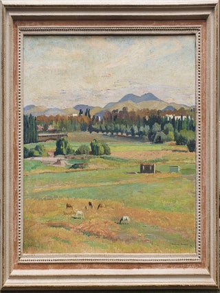 Late Afternoon, Acton Flats, Canberra 1956