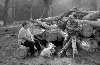 Item #5703 Lunchtime, After the Storm, East Warburton 2013. Peter Brown