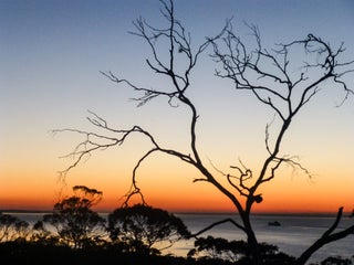 Item #5719 Sunset Over Dromana c2010. Peter Brown