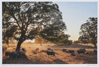 Item #5740 Pastoral Scene, South Mokanger 2015. Peter Brown