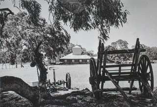Item #5748 Woolshed, South Mokanger 1985. Peter Brown