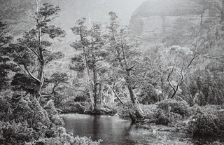Item #5751 Artists Pool, Cradle Mountain 2010. Peter Brown