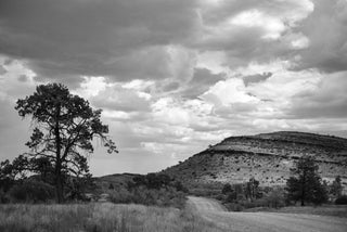 Item #5752 Afternoon Light, Flinders Ranges 2016. Peter Brown