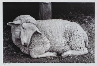 Item #5787 Agnus Dei 2012. Peter Brown