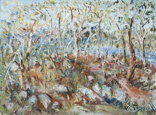 Item #5870 Wildflowers with Rocks near Lake Jindabyne. Celia Perceval