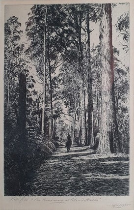 Item #5913 The Roadway at Olinda Falls 1935. Victor Cobb