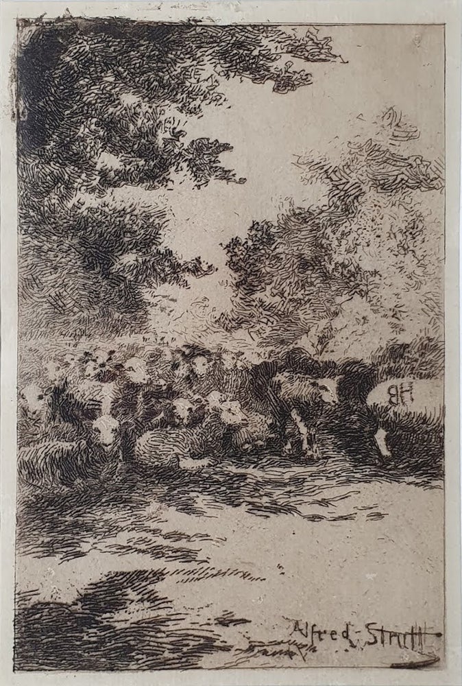 Item #5918 Sheep Resting in the Shade. Alfred William Strutt.