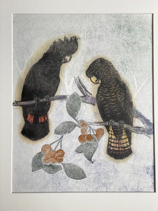 Item #5995 Red-tailed Black Cockatoos. Joyce Meier
