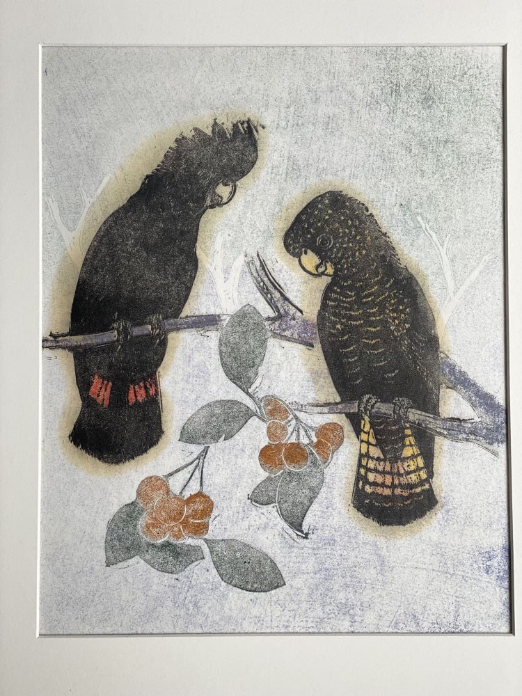 Item #5995 Red-tailed Black Cockatoos. Joyce Meier.