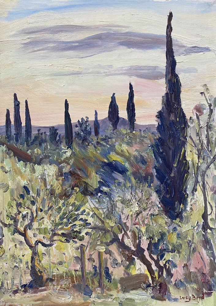 Item #6137 Cypress Pines, Tuscany 2015. Lucy Boyd.