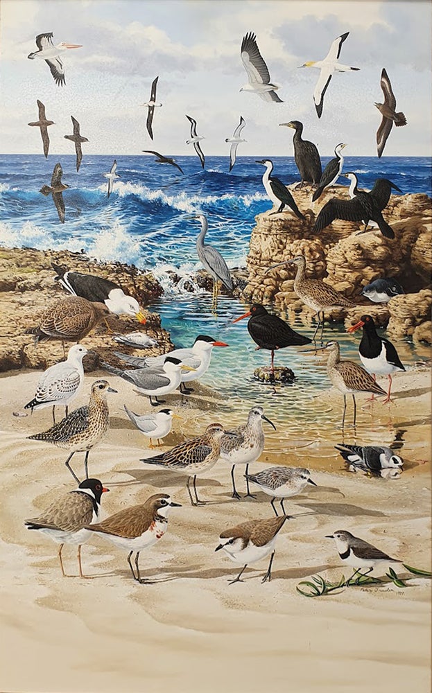 Item #6211 Common Sea Birds 1977. Peter Trusler.