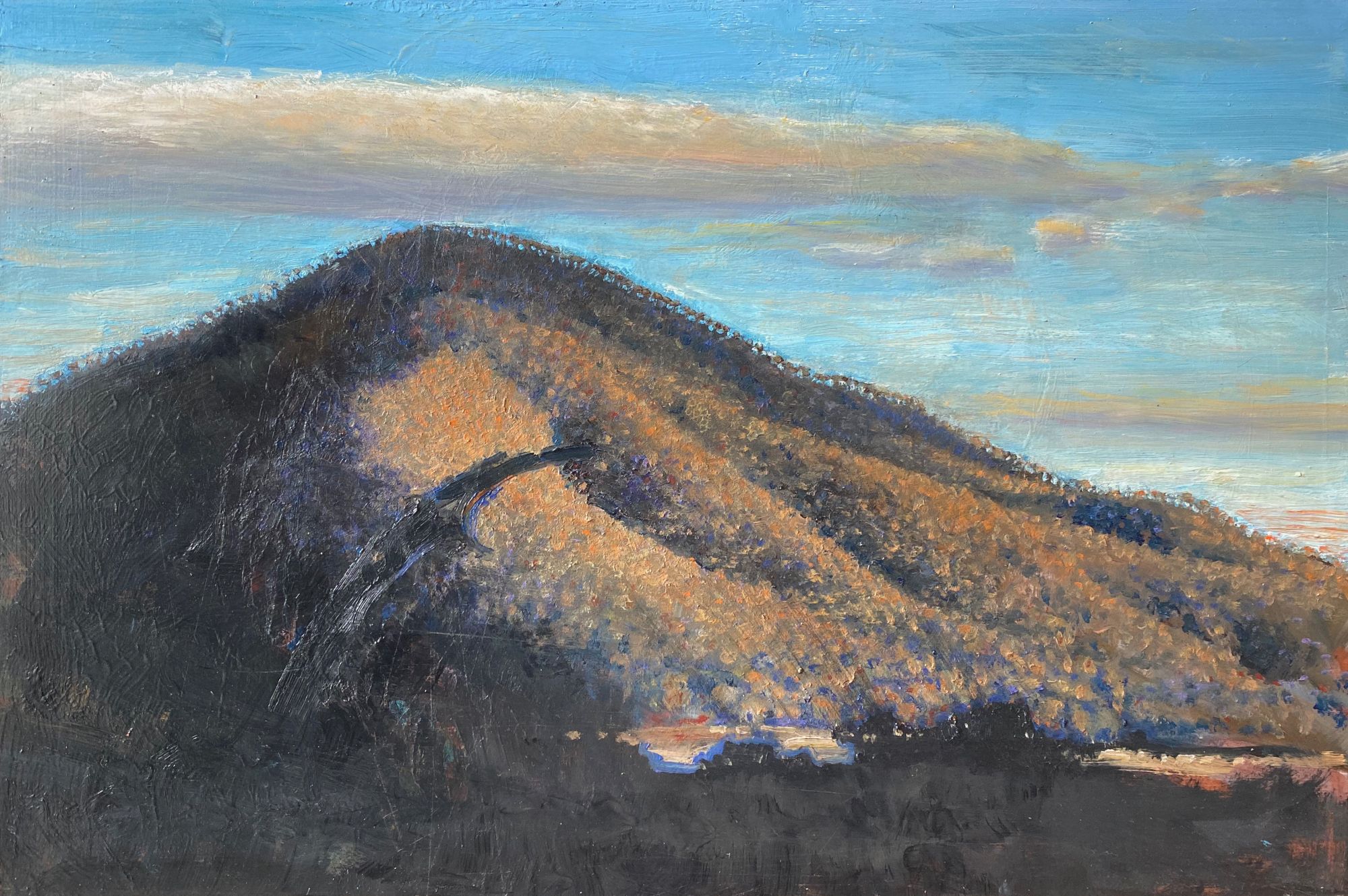 Araluen Landscape 2022  Glenda Fell Jones