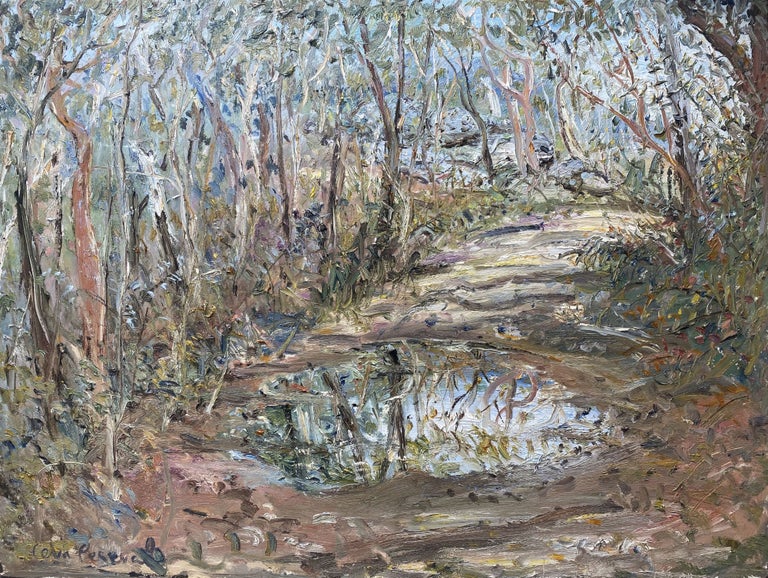 Item #6508 Puddle on the Path in the Grampians. Celia Perceval.