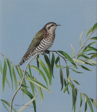 Item #6536 Horsfield Bronze Cuckoo Keeping Very Still 1978. Peter Trusler