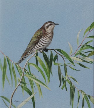 Item #6536 Horsfield Bronze Cuckoo Keeping Very Still 1978. Peter Trusler