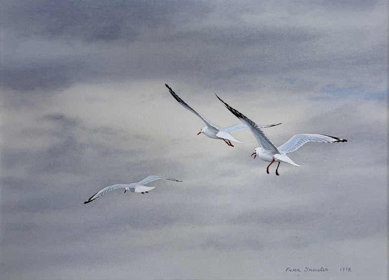 Item #6555 Silver Gulls on the Lookout 1978. Peter Trusler.