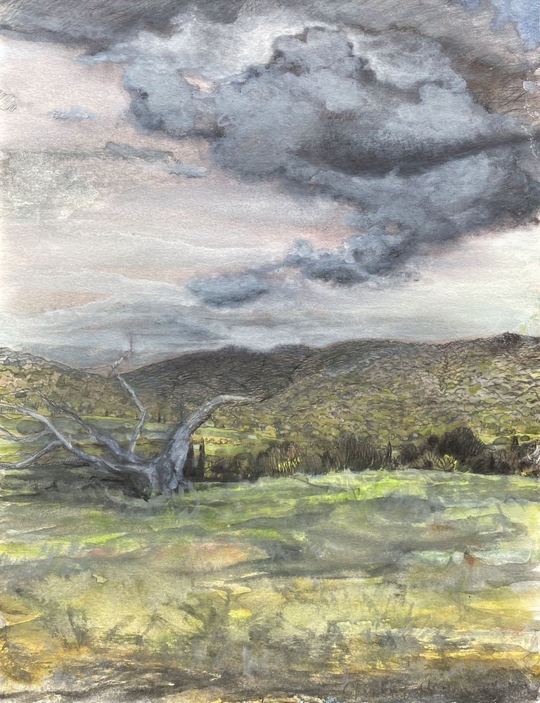 Item #6684 Araluen, Looking South 2019. Glenda Fell Jones.