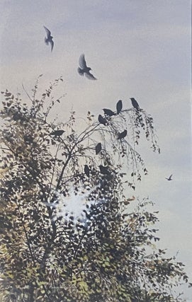 Item #6928 Starlings in the Birch Tree 1977. Peter Trusler