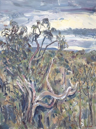 Item #7266 Banksia Tree, Anglesea 2025. Lucy Boyd