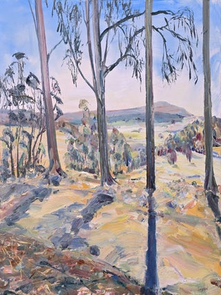 Item #7269 Afternoon Light, Otways. Lucy Boyd