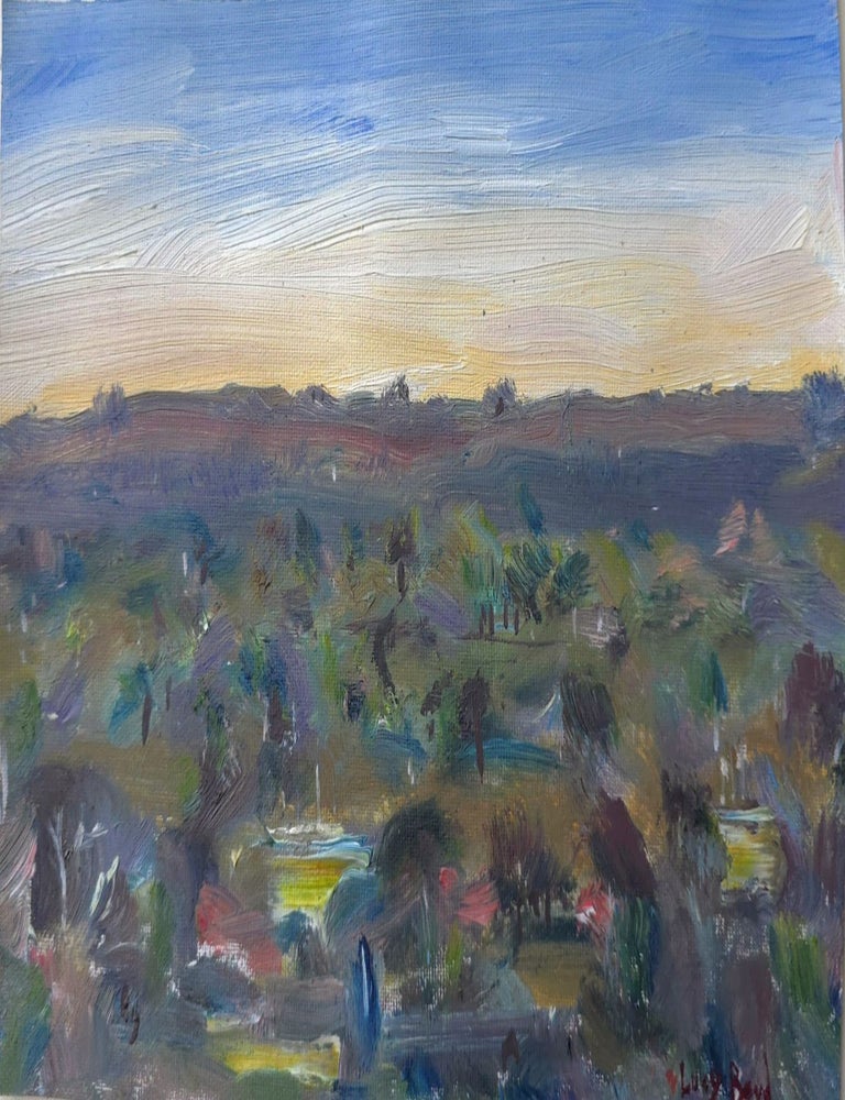 Item #7286 Dusk, Anglesea 2025. Lucy Boyd.