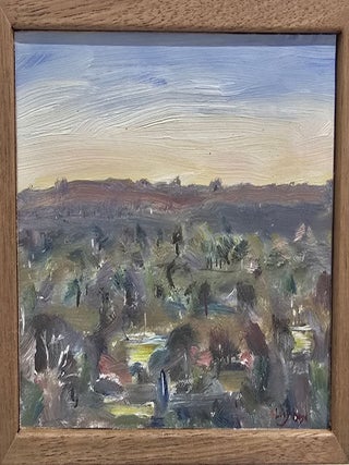 Dusk, Anglesea 2025