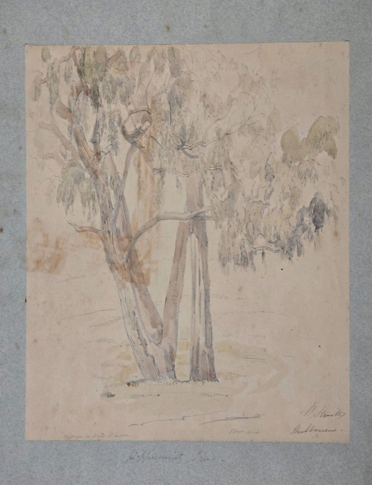 Item #7301 Peppermint Trees, Melbourne c1860. William Strutt.