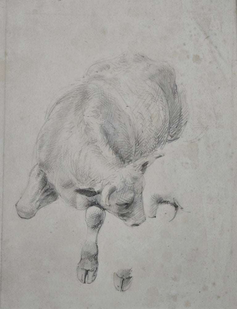 Item #7305 Studies of a Bullock and a Hoof. William 1825 - 1915 Strutt.