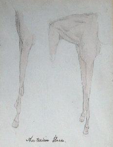 Item #734 Australian Horse, Studies of Forelegs. William Strutt.