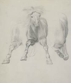 Item #735 Studies of a Charging Horse. William Strutt.