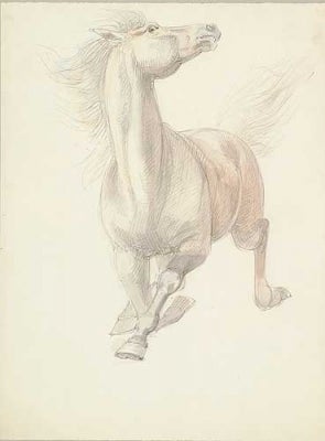 Item #737 Study of a Charging Horse. William Strutt.