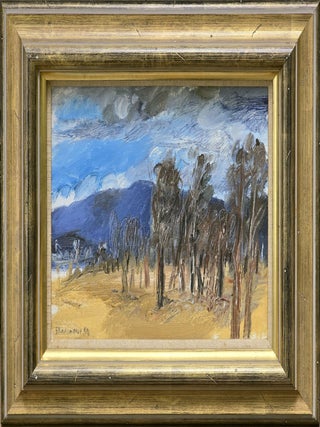 Near Blackwood Creek 1983