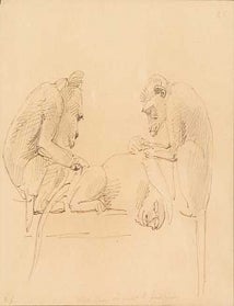 Item #739 Monkeys Grooming. William Strutt.