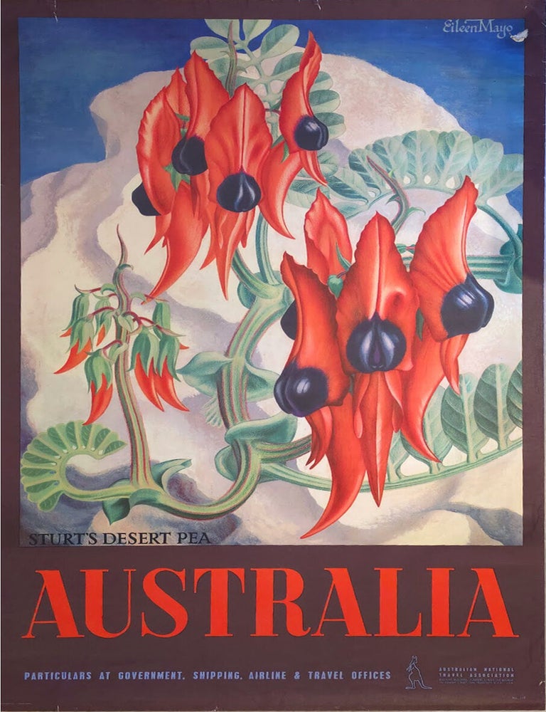 Item #7512 Australia, Sturt's Desert Pea 1956. Eileen Mayo.