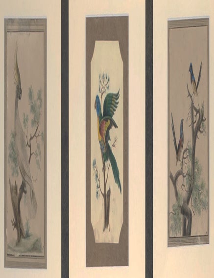 Item #7521 Blue Bellied Parrot; Superb Warblers and&nbsp;Crested Cockatoo. Late 18th Century English School.