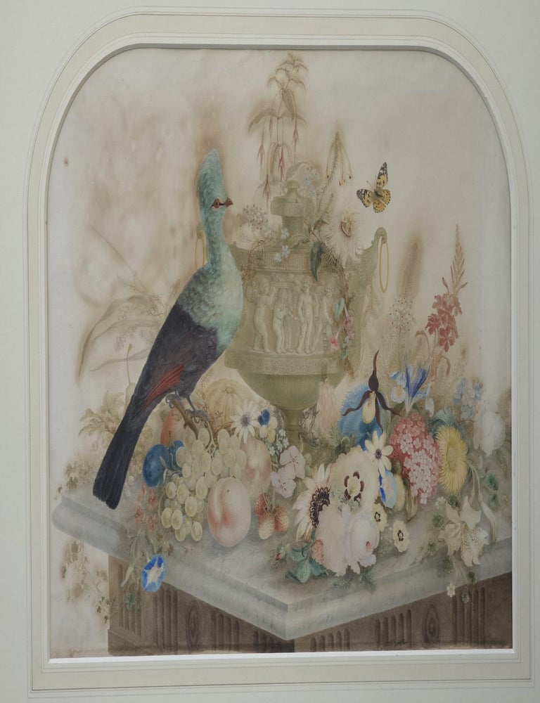 Item #7522 Still Life with Turaco, Flowers and a Classical Urn c1820. Ferdinand Bauer.