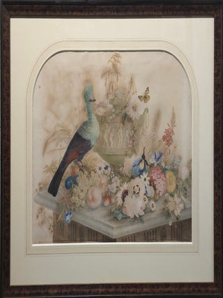 Still Life with Turaco, Flowers and a Classical Urn c1820