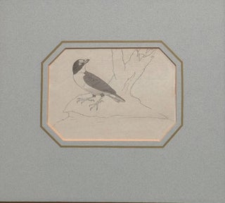 Four bird sketches