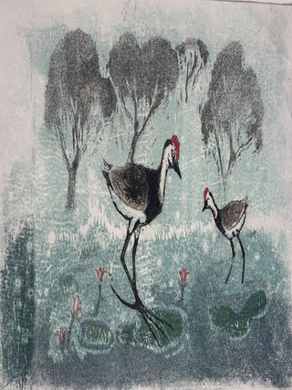 Jacanas (Jesus Birds)