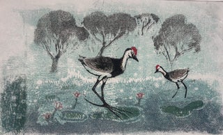 Jacanas (Jesus Birds)