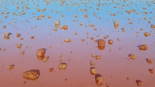 Item #800 Flooded Desertscape 1994-1997. Peter Trusler