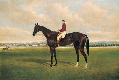 Item #831 Dunlop with Jockey Up at Caulfield 1888. Frederick Woodhouse Jnr.