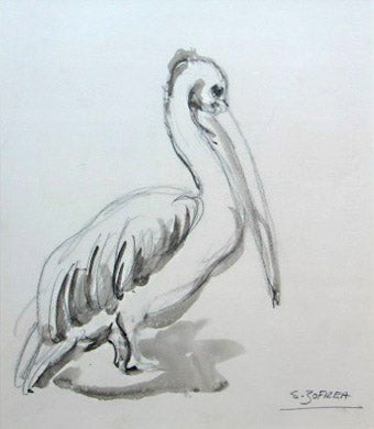 Item #844 Pelican. Salvatore Zofrea.