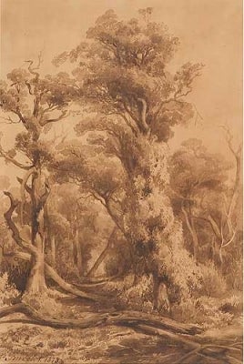 Item #92 Study of Gum Trees 1873. Louis Buvelot.